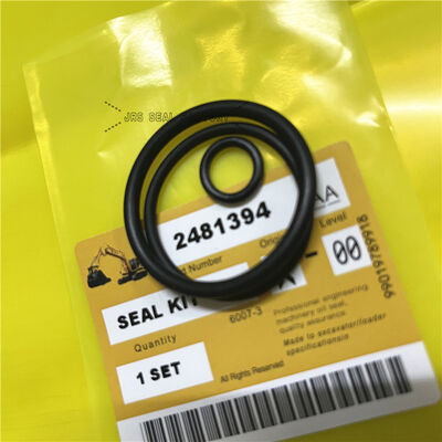 2481394 248-1394 NBR Black Oring محمل الأسطوانة الهيدروليكية رفع Tift مجموعة ختم التوجيه